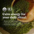 Matcha Green Tea Powder XL Starter Pack