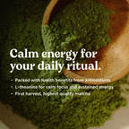 Matcha Variety Pack